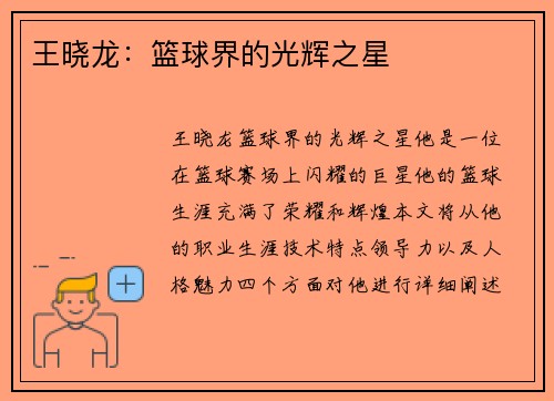 王晓龙：篮球界的光辉之星